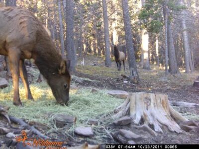 Choices – Starting With Buying Land Image